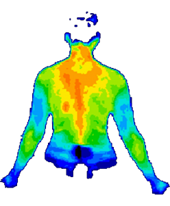 Body Pressure Mapping